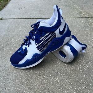 Nike PG 5 Paul George Blue White Low Top Basketball Sneakers DC6768-991 Size 15